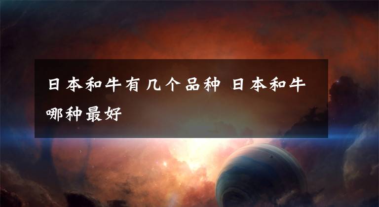 日本和牛有几个品种 日本和牛哪种最好