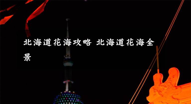 北海道花海攻略 北海道花海全景