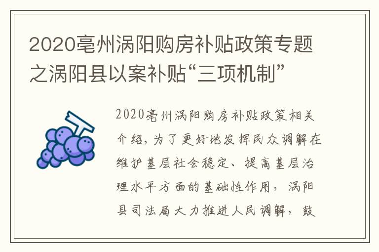 2020亳州涡阳购房补贴政策专题之涡阳县以案补贴“三项机制”推进人民调解再上新台阶
