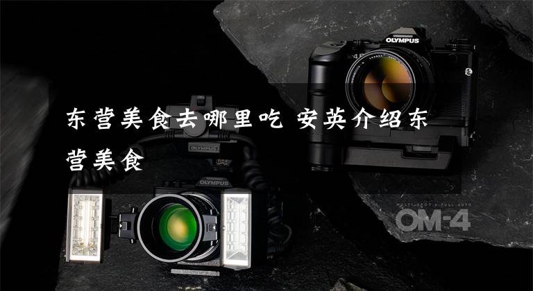 东营美食去哪里吃 安英介绍东营美食