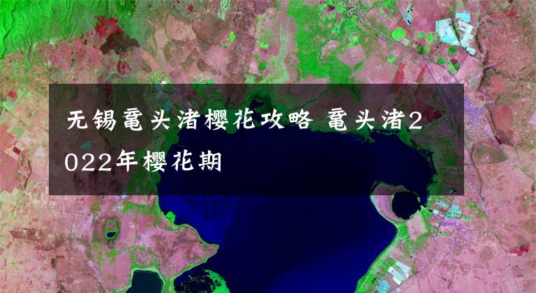 无锡鼋头渚樱花攻略 鼋头渚2022年樱花期