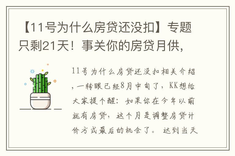 【11号为什么房贷还没扣】专题只剩21天!事关你的房贷月供,错过不再来