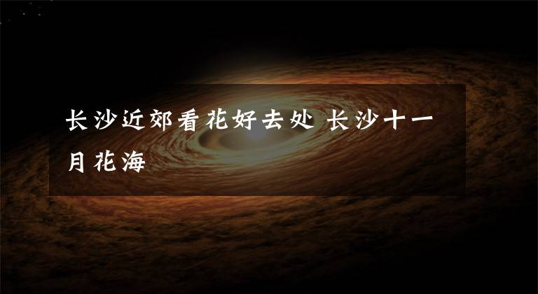 长沙近郊看花好去处 长沙十一月花海