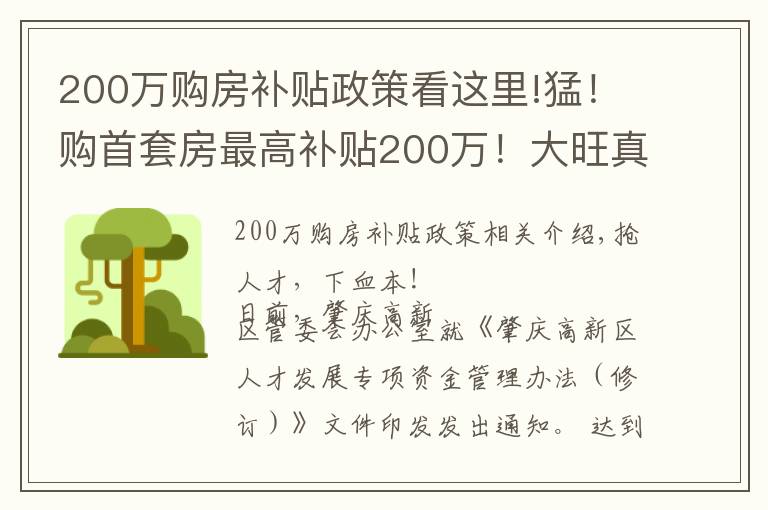200万购房补贴政策看这里!猛！购首套房最高补贴200万！大旺真金白银抢人才