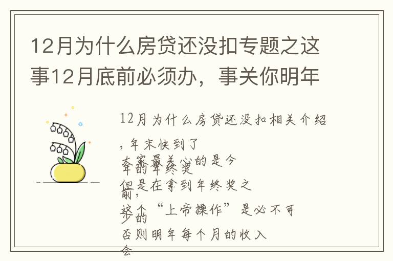 12月为什么房贷还没扣专题之这事12月底前必须办,事关你明年收入!手把手教你