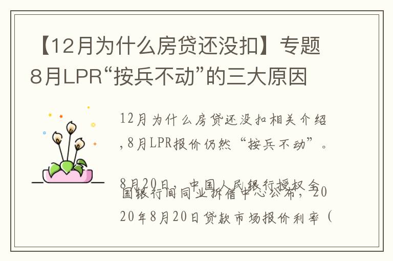 【12月为什么房贷还没扣】专题8月LPR“按兵不动”的三大原因，房贷利率将保持稳定