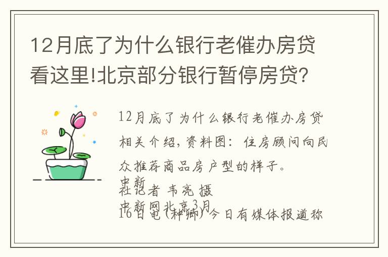 12月底了为什么银行老催办房贷看这里!北京部分银行暂停房贷? 银行人士:额度有限 放款慢