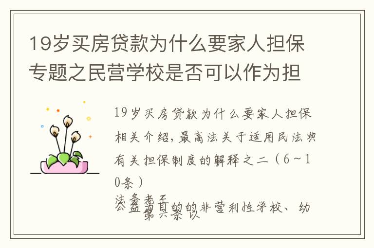 19岁买房贷款为什么要家人担保专题之民营学校是否可以作为担保人，逐条解读担保解释一之二（6—10）