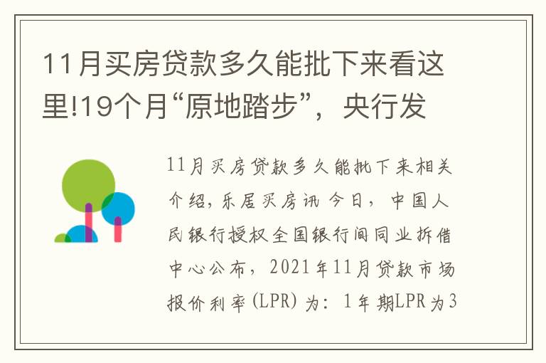 11月买房贷款多久能批下来看这里!19个月“原地踏步”,央行发布11月LPR