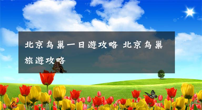 北京鸟巢一日游攻略 北京鸟巢旅游攻略