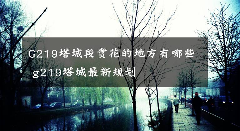 G219塔城段赏花的地方有哪些 g219塔城最新规划