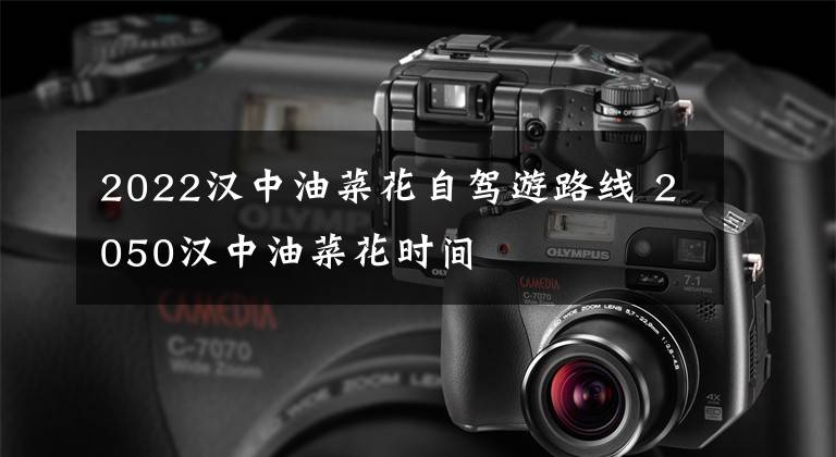 2022汉中油菜花自驾游路线 2050汉中油菜花时间