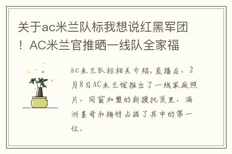 关于ac米兰队标我想说红黑军团！AC米兰官推晒一线队全家福