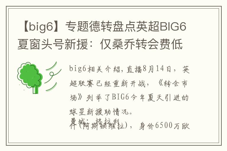 【big6】专题德转盘点英超BIG6夏窗头号新援:仅桑乔转会费低于身价