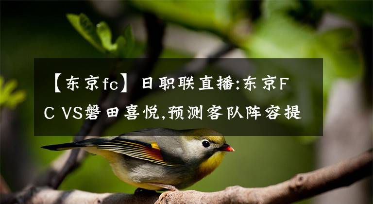 【东京fc】日职联直播:东京FC VS磐田喜悦,预测客队阵容提升不少