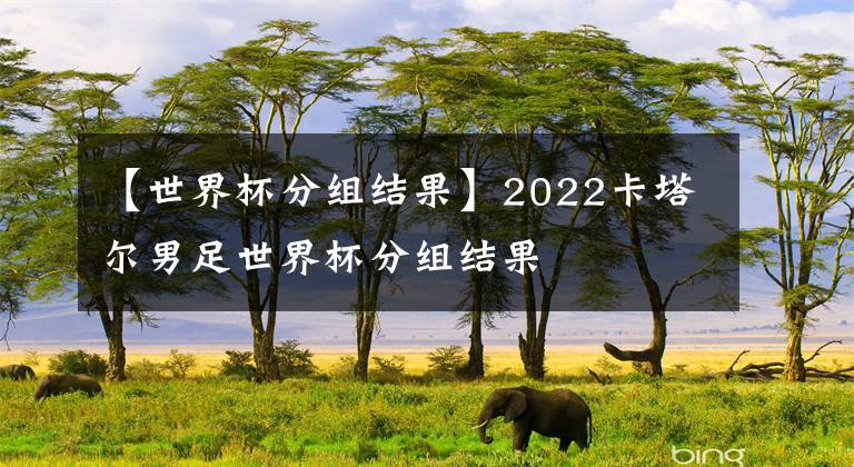 【世界杯分组结果】2022卡塔尔男足世界杯分组结果