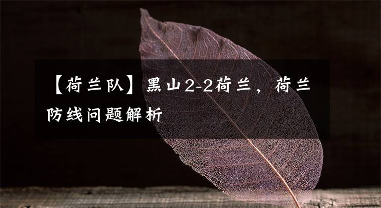 【荷兰队】黑山2-2荷兰，荷兰防线问题解析