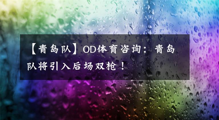 【青岛队】OD体育咨询：青岛队将引入后场双枪！
