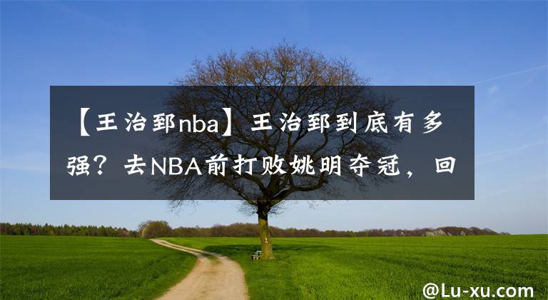 【王治郅nba】王治郅到底有多强？去NBA前打败姚明夺冠，回来后战胜阿联夺冠