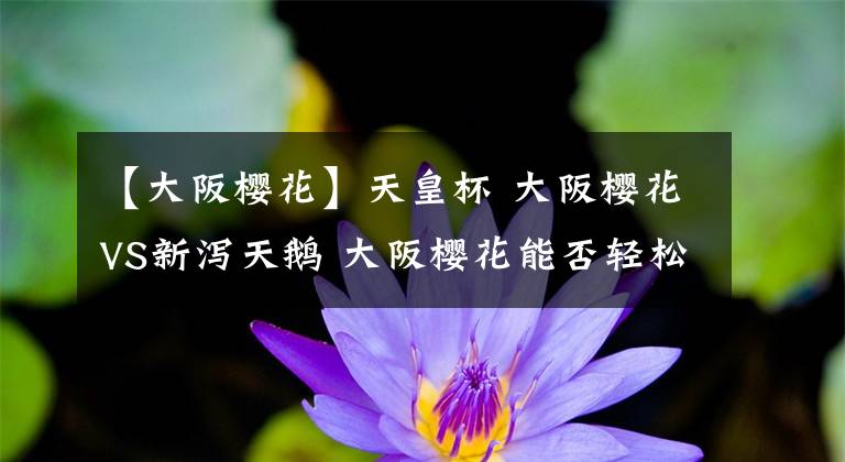 【大阪樱花】天皇杯 大阪樱花VS新泻天鹅 大阪樱花能否轻松取胜日职乙第三名