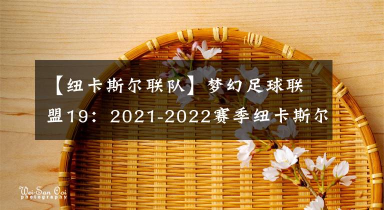 【纽卡斯尔联队】梦幻足球联盟19:2021-2022赛季纽卡斯尔联队队服