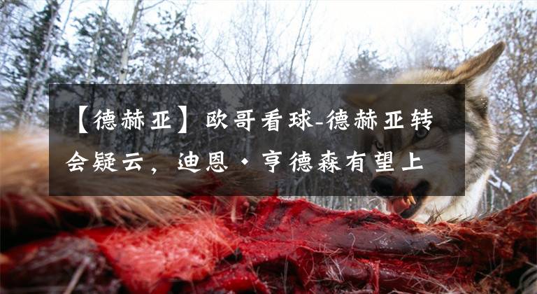 【德赫亚】欧哥看球-德赫亚转会疑云,迪恩·亨德森有望上位