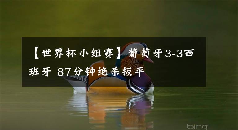 【世界杯小组赛】葡萄牙3-3西班牙 87分钟绝杀扳平