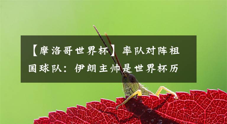 【摩洛哥世界杯】率队对阵祖国球队:伊朗主帅是世界杯历史上第19位 取胜仅5次