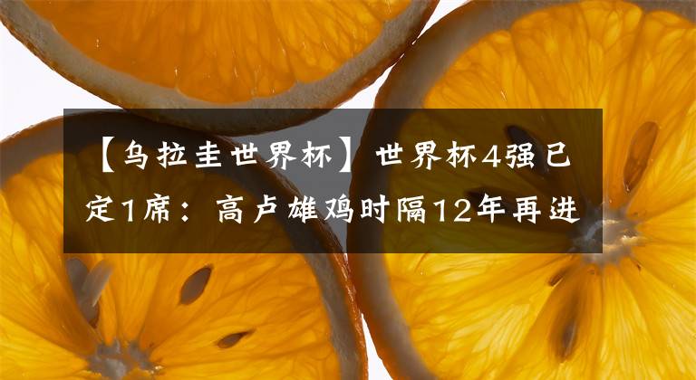 【乌拉圭世界杯】世界杯4强已定1席：高卢雄鸡时隔12年再进4强！