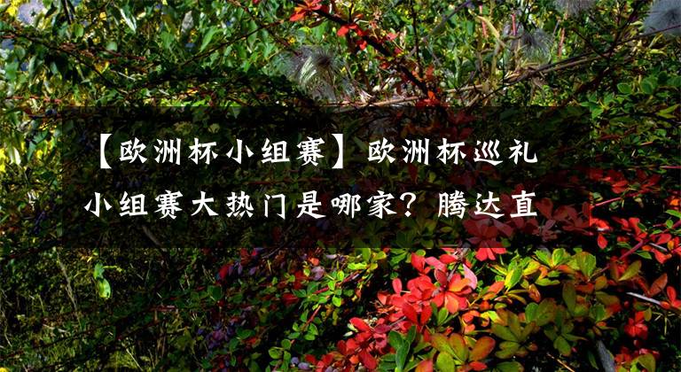 【欧洲杯小组赛】欧洲杯巡礼小组赛大热门是哪家?腾达直播在线侃球!
