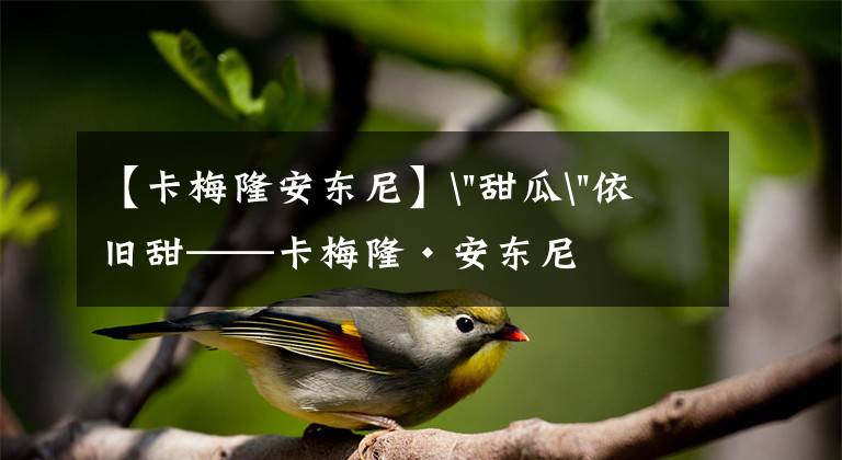 【卡梅隆安东尼】