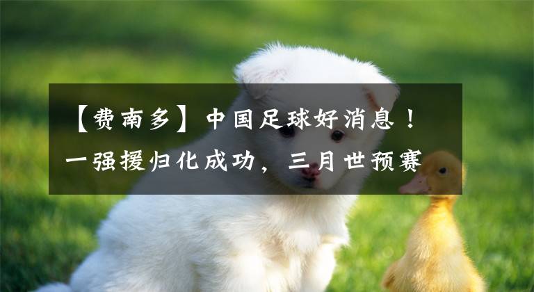 【费南多】中国足球好消息！一强援归化成功，三月世预赛备选场地方案出炉