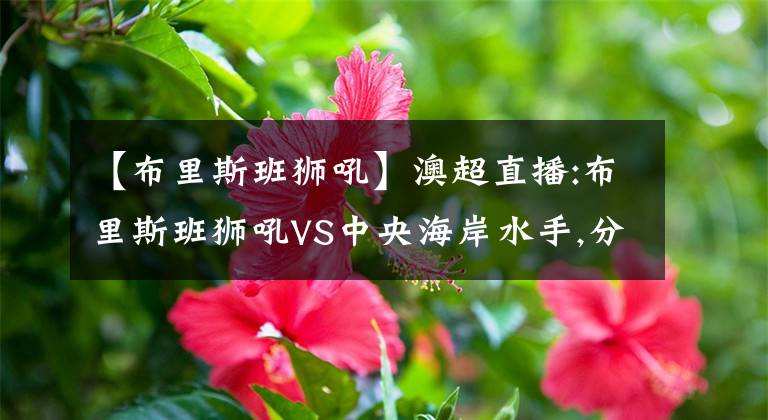 【布里斯班狮吼】澳超直播:布里斯班狮吼VS中央海岸水手,分析客队将拿到季后赛门票