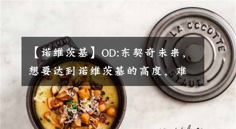 【诺维茨基】OD:东契奇未来,想要达到诺维茨基的高度,难不难,体育