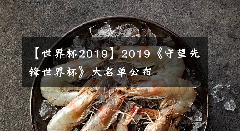 【世界杯2019】2019《守望先锋世界杯》大名单公布