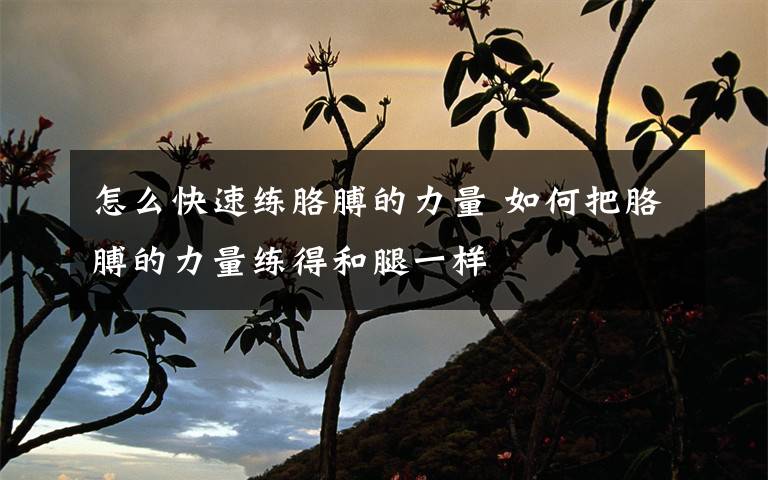 怎么快速练胳膊的力量 如何把胳膊的力量练得和腿一样