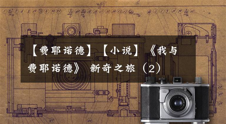 【费耶诺德】【小说】《我与费耶诺德》 新奇之旅（2）