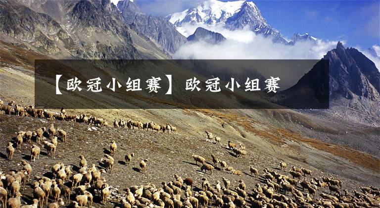 【欧冠小组赛】欧冠小组赛