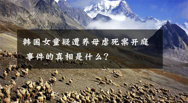 韩国女童疑遭养母虐死案开庭 事件的真相是什么?