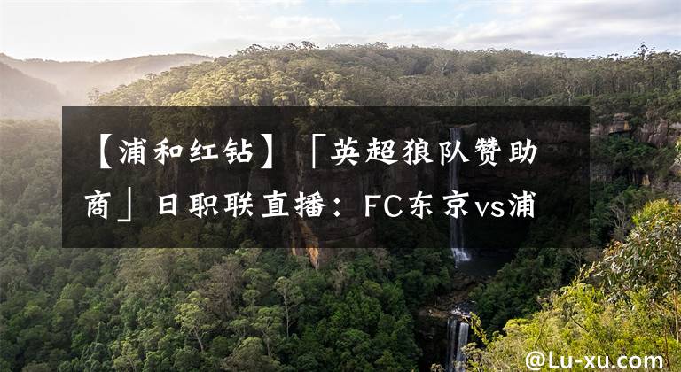 【浦和红钻】「英超狼队赞助商」日职联直播：FC东京vs浦和红钻
