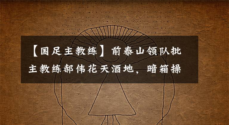 【国足主教练】前泰山领队批主教练郝伟花天酒地,暗箱操作