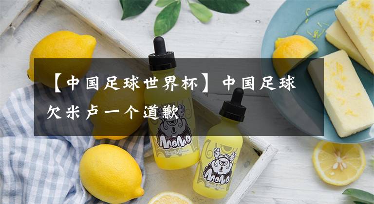 【中国足球世界杯】中国足球欠米卢一个道歉