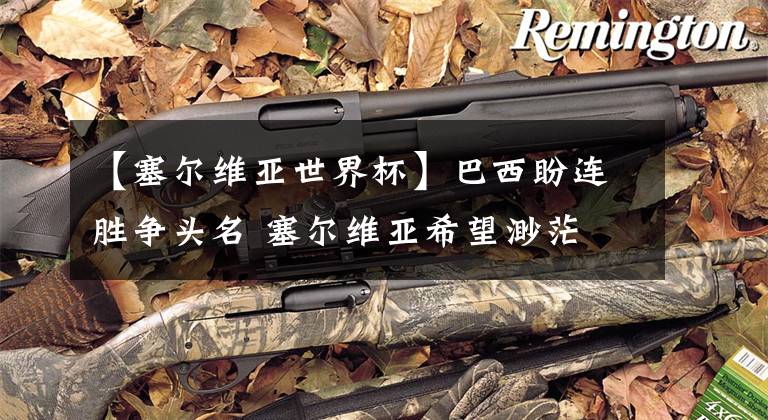 【塞尔维亚世界杯】巴西盼连胜争头名 塞尔维亚希望渺茫