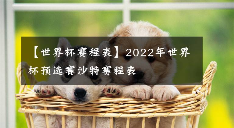 【世界杯赛程表】2022年世界杯预选赛沙特赛程表