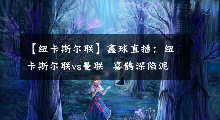 【纽卡斯尔联】鑫球直播:纽卡斯尔联vs曼联  喜鹊深陷泥潭红魔继续高歌猛进!