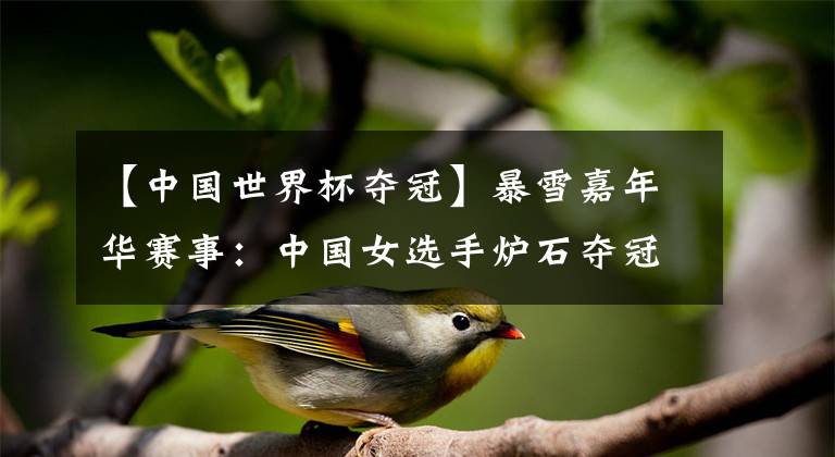 【中国世界杯夺冠】暴雪嘉年华赛事：中国女选手炉石夺冠，守望世界杯中国队亚军！