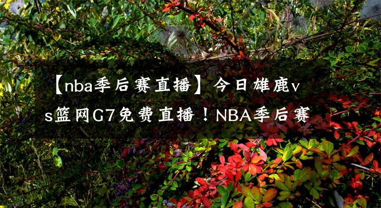 【nba季后赛直播】今日雄鹿vs篮网G7免费直播！NBA季后赛直播去哪儿看？
