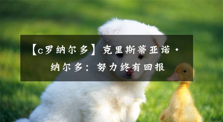 【c罗纳尔多】克里斯蒂亚诺·罗纳尔多：努力终有回报