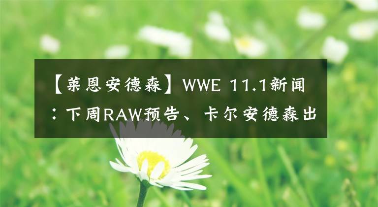 【莱恩安德森】WWE 11.1新闻∶下周RAW预告、卡尔安德森出轨、送葬者支持特朗普、布莱恩肾脏受伤..