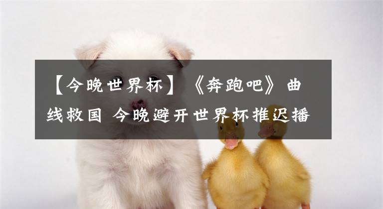 【今晚世界杯】《奔跑吧》曲线救国 今晚避开世界杯推迟播出?真相没有这么简单